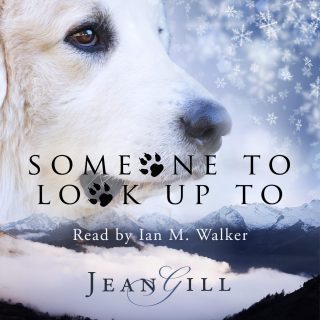 Someone to Look Up To